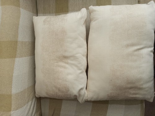 Next firm cushions pair - cushions,